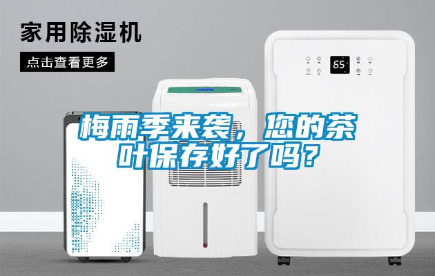 梅雨季來襲，您的茶葉保存好了嗎？