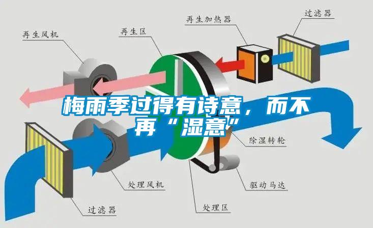 梅雨季過得有詩意，而不再“濕意”