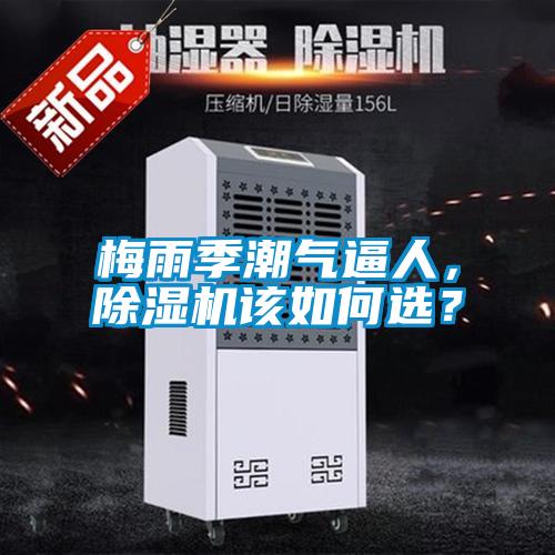 梅雨季潮氣逼人，除濕機(jī)該如何選？