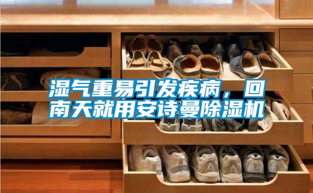 濕氣重易引發疾病，回南天就用安詩曼除濕機