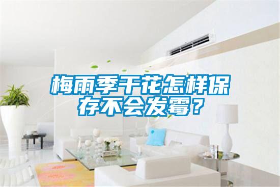 梅雨季干花怎樣保存不會發霉？