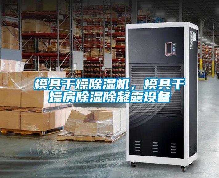 模具干燥除濕機(jī)，模具干燥房除濕除凝露設(shè)備
