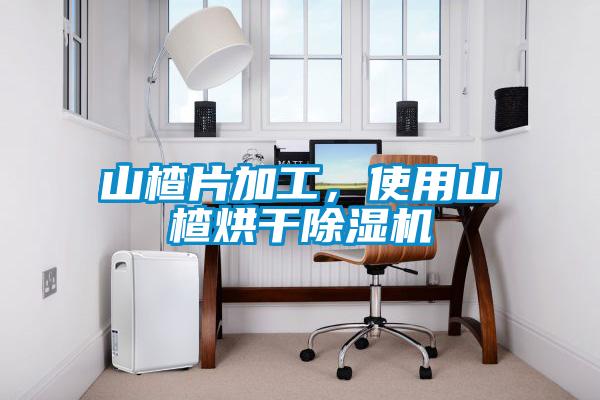山楂片加工，使用山楂烘干除濕機