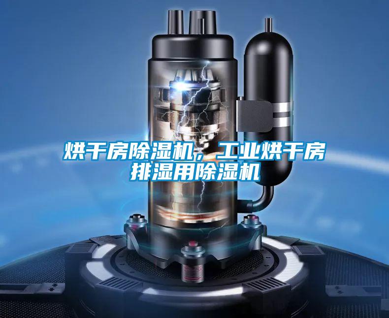 烘干房除濕機，工業烘干房排濕用除濕機