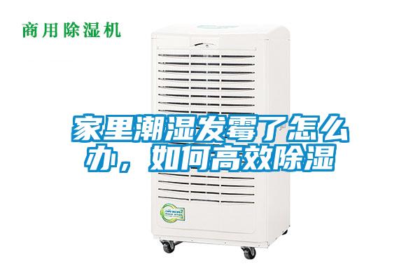 家里潮濕發(fā)霉了怎么辦，如何高效除濕
