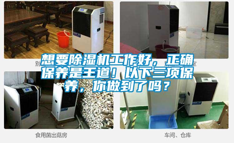 想要除濕機工作好，正確保養是王道！以下三項保養，你做到了嗎？