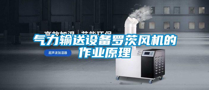 氣力輸送設(shè)備羅茨風(fēng)機的作業(yè)原理