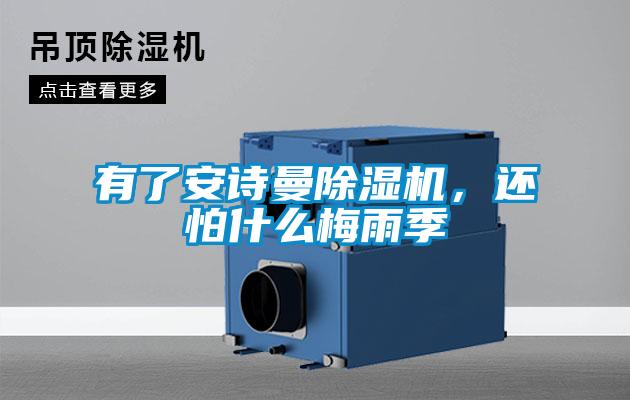 有了安詩曼除濕機，還怕什么梅雨季