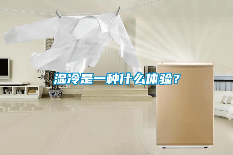 濕冷是一種什么體驗？