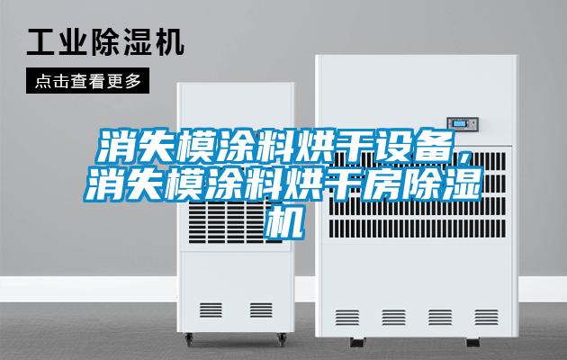 消失模涂料烘干設備，消失模涂料烘干房除濕機