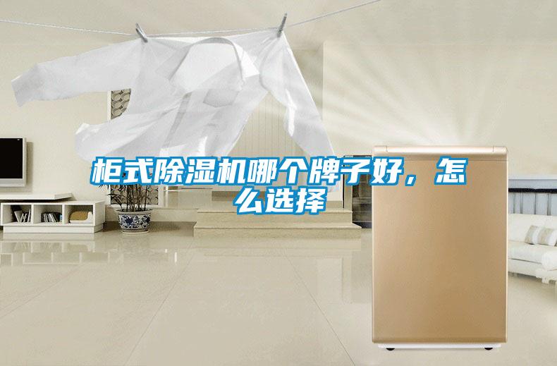 柜式除濕機哪個牌子好，怎么選擇
