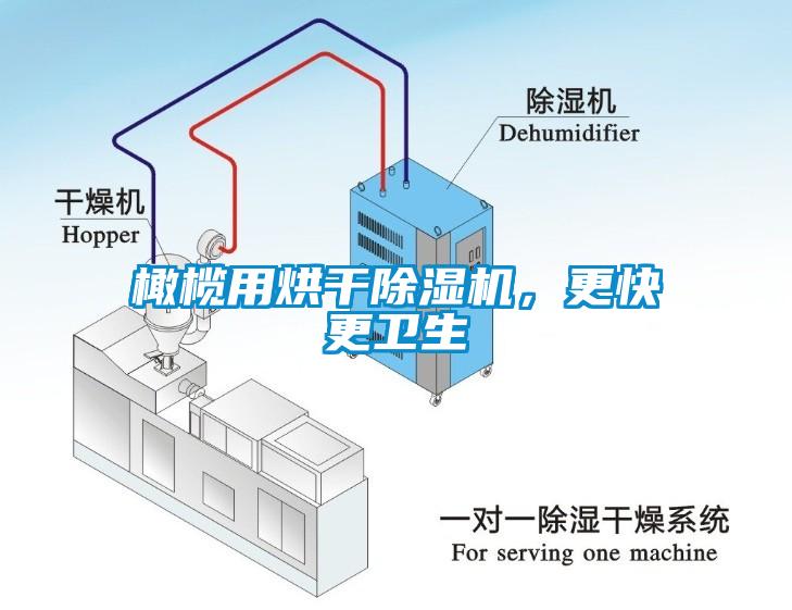 橄欖用烘干除濕機(jī)，更快更衛(wèi)生