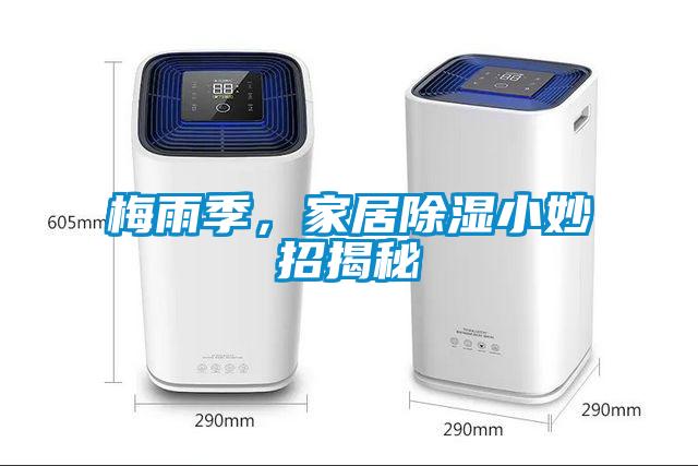 梅雨季，家居除濕小妙招揭秘