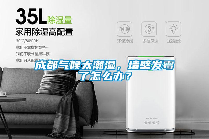 成都氣候太潮濕，墻壁發霉了怎么辦？