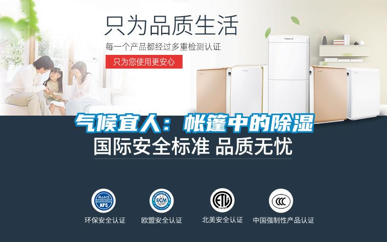 氣候宜人:帳篷中的除濕