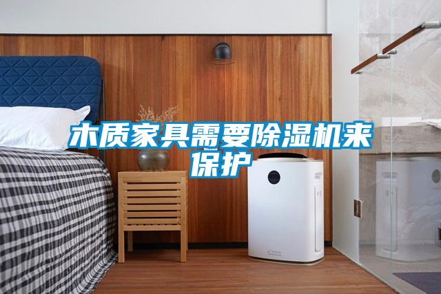 木質家具需要除濕機來保護