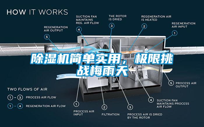 除濕機簡單實用，極限挑戰梅雨天