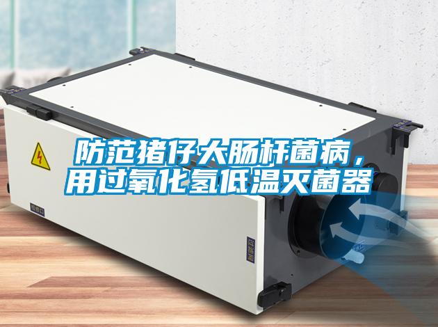 防范豬仔大腸桿菌病，用過氧化氫低溫滅菌器