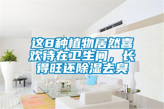 這8種植物居然喜歡待在衛生間，長得旺還除濕去臭