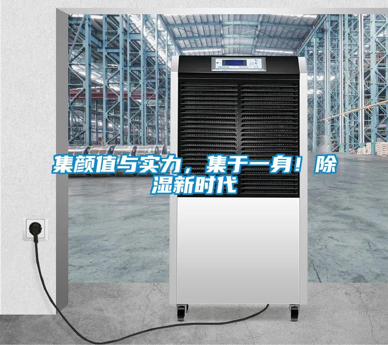 集顏值與實力，集于一身！除濕新時代