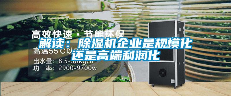 解讀：除濕機企業是規模化還是高端利潤化