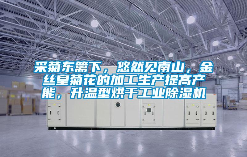 采菊東籬下，悠然見南山，金絲皇菊花的加工生產(chǎn)提高產(chǎn)能，升溫型烘干工業(yè)除濕機(jī)