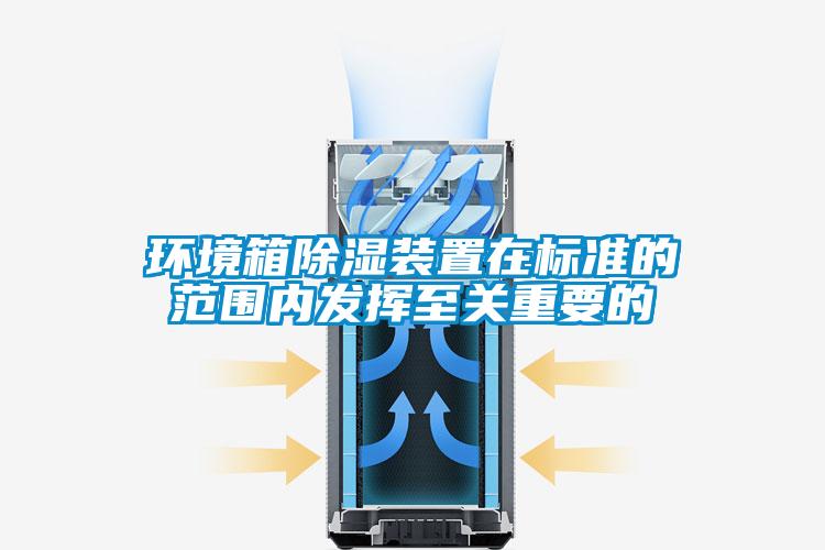 環(huán)境箱除濕裝置在標(biāo)準(zhǔn)的范圍內(nèi)發(fā)揮至關(guān)重要的