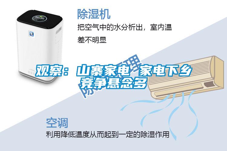 觀察：山寨家電 家電下鄉(xiāng)競(jìng)爭(zhēng)懸念多