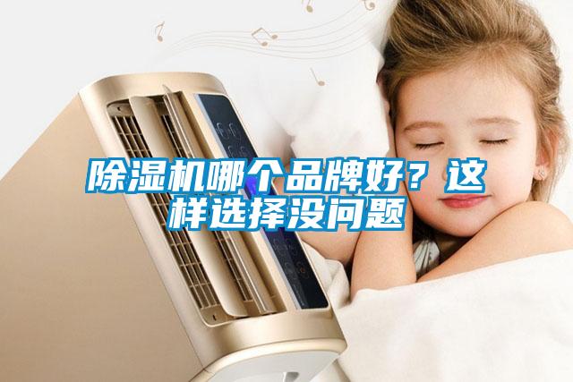 除濕機(jī)哪個(gè)品牌好？這樣選擇沒問題