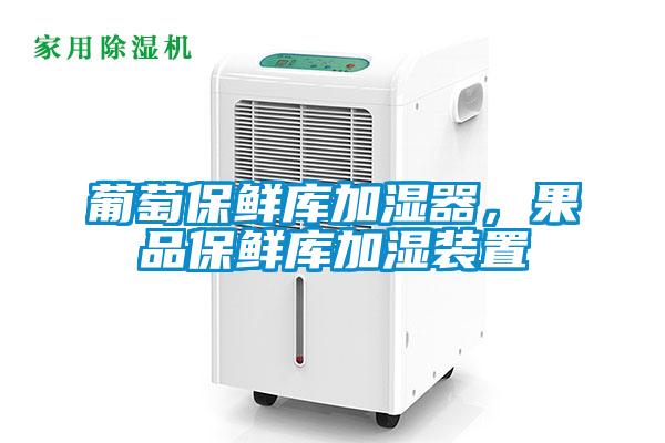 葡萄保鮮庫加濕器，果品保鮮庫加濕裝置