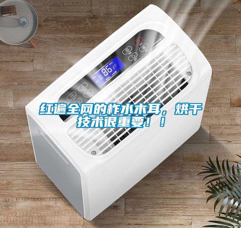 紅遍全網(wǎng)的柞水木耳，烘干技術(shù)很重要?。?/></p>
						    <p style=