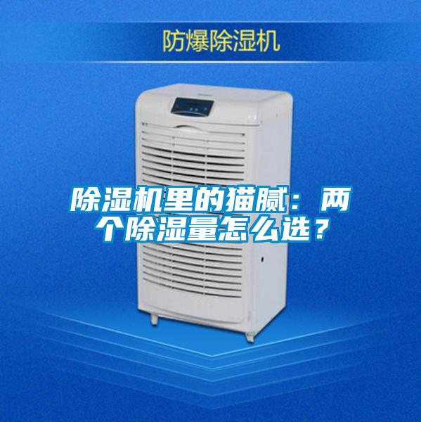 除濕機(jī)里的貓膩：兩個(gè)除濕量怎么選？