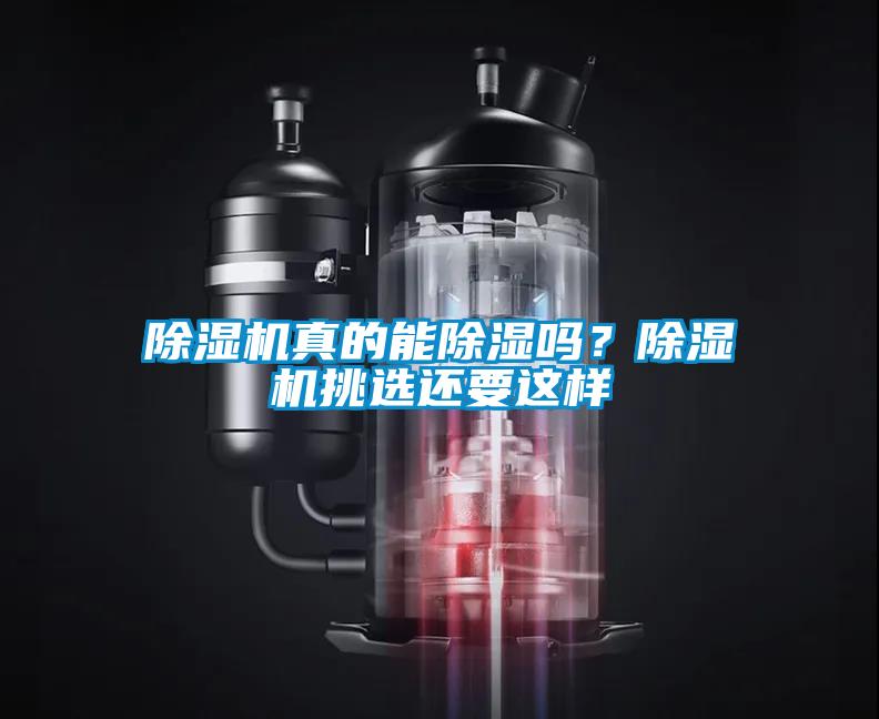 除濕機真的能除濕嗎？除濕機挑選還要這樣