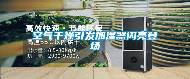 空氣干燥引發加濕器閃亮登場
