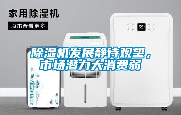 除濕機發展靜待觀望，市場潛力大消費弱