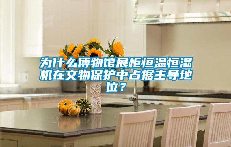 為什么博物館展柜恒溫恒濕機在文物保護中占據主導地位？