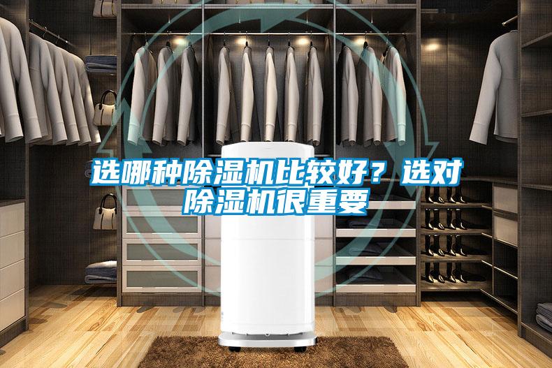 選哪種除濕機比較好？選對除濕機很重要