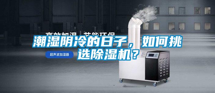 潮濕陰冷的日子，如何挑選除濕機？