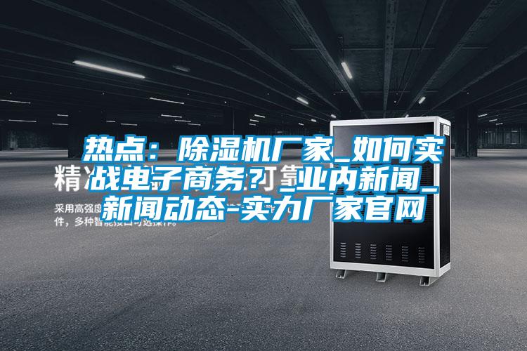熱點：除濕機廠家_如何實戰(zhàn)電子商務(wù)？_業(yè)內(nèi)新聞_新聞動態(tài)-實力廠家官網(wǎng)