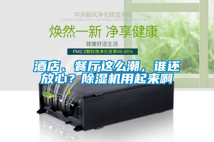 酒店、餐廳這么潮，誰還放心？除濕機用起來啊