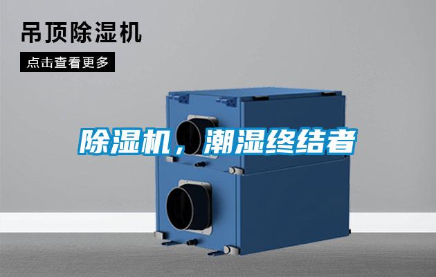 除濕機，潮濕終結(jié)者