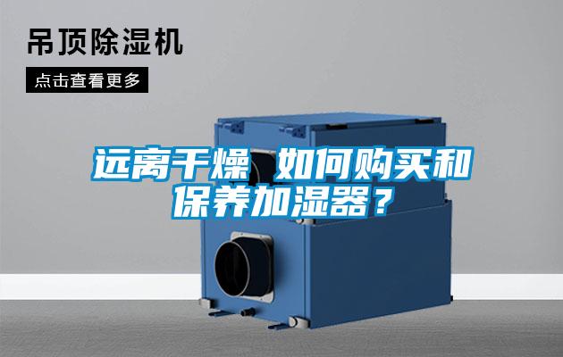 遠(yuǎn)離干燥 如何購(gòu)買(mǎi)和保養(yǎng)加濕器？