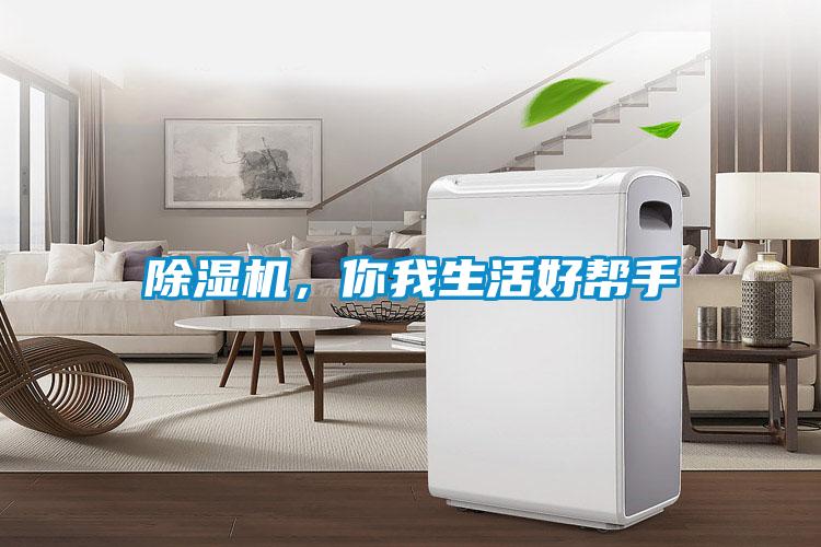 除濕機，你我生活好幫手