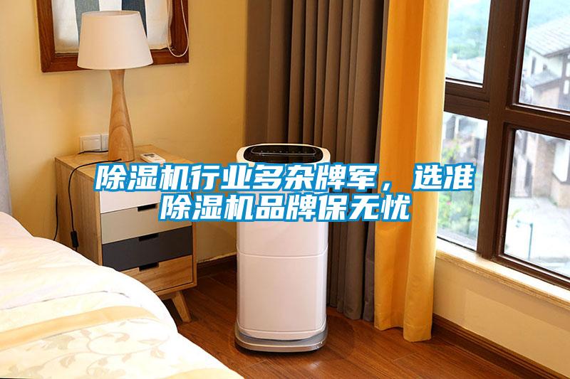 除濕機行業多雜牌軍，選準除濕機品牌保無憂