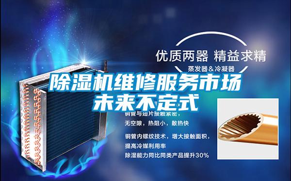 除濕機(jī)維修服務(wù)市場(chǎng)未來不定式