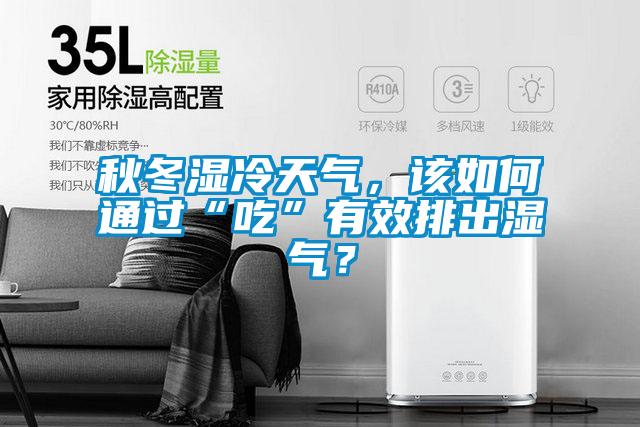 秋冬濕冷天氣，該如何通過(guò)“吃”有效排出濕氣？
