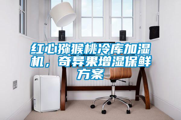 紅心獼猴桃冷庫加濕機，奇異果增濕保鮮方案