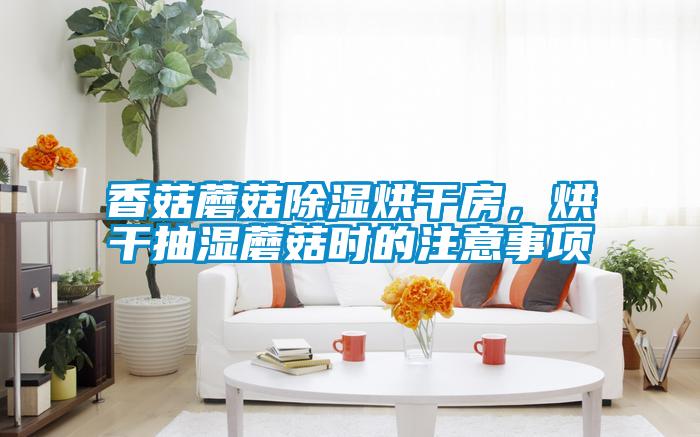 香菇蘑菇除濕烘干房，烘干抽濕蘑菇時(shí)的注意事項(xiàng)
