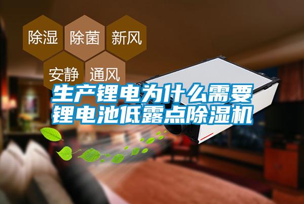 生產(chǎn)鋰電為什么需要鋰電池低露點除濕機