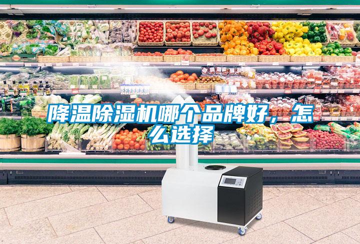 降溫除濕機(jī)哪個(gè)品牌好，怎么選擇